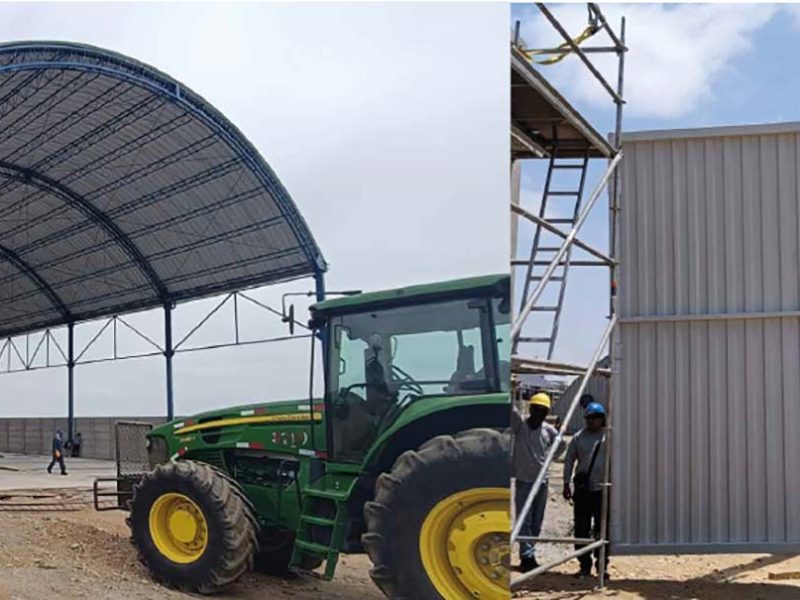 agroaurora1